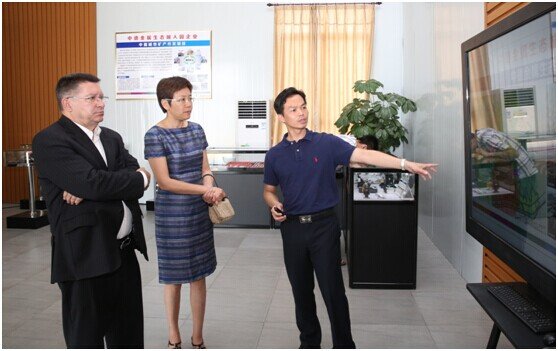 ������Tradingal��˾���õ��е½������B(t��i)�ǅ��^����